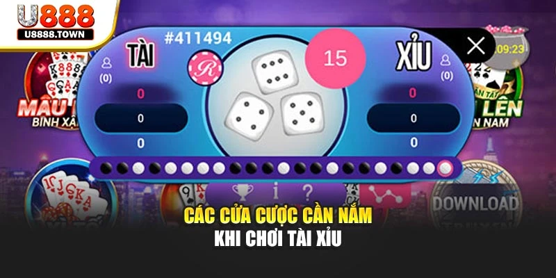 Các cửa cược cần nắm khi chơi Tài Xỉu