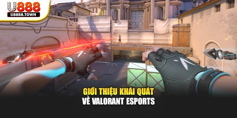 Giới thiệu khái quát về Valorant Esports