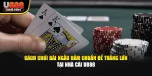 Cách Chơi Bài Ngầu Hầm Chuẩn Để Thắng Lớn Tại Nhà Cái U888